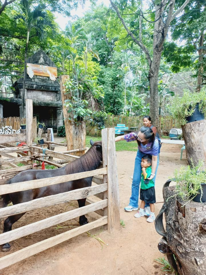 โครงการทัศนศึกษาศูนย์พัฒนาเด็กเล็ก ประจำปี 2567
