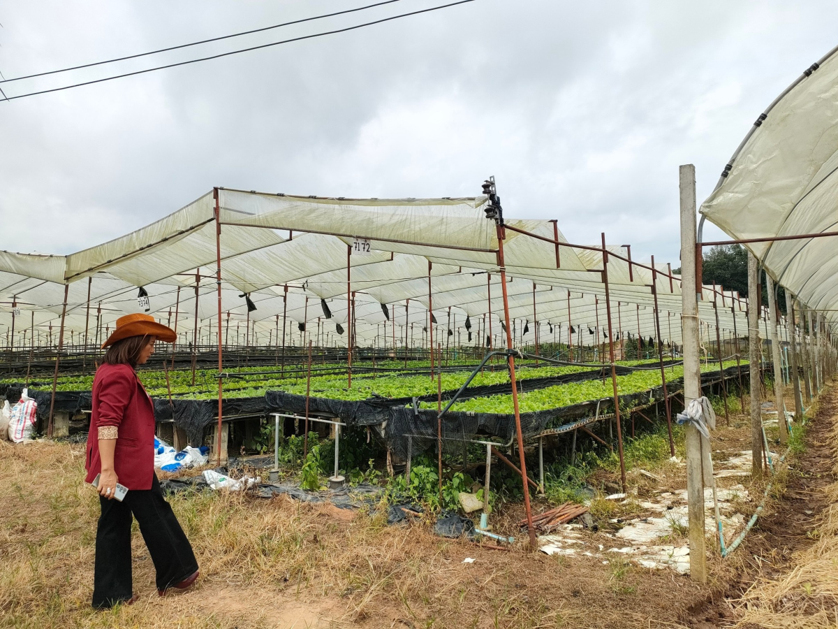 โครงการสร้างอาชีพสร้างรายได้ตามแนวทางเศรษฐกิจพอเพียง ประจำปีงบประมาณ พ.ศ.2567