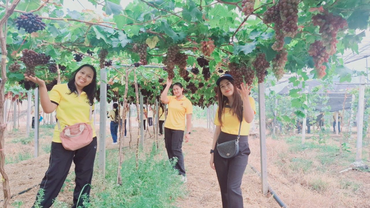 โครงการสร้างอาชีพสร้างรายได้ตามแนวเศรษฐกิจพอเพียง ประจำปีงบประมาณ พ.ศ.2568
