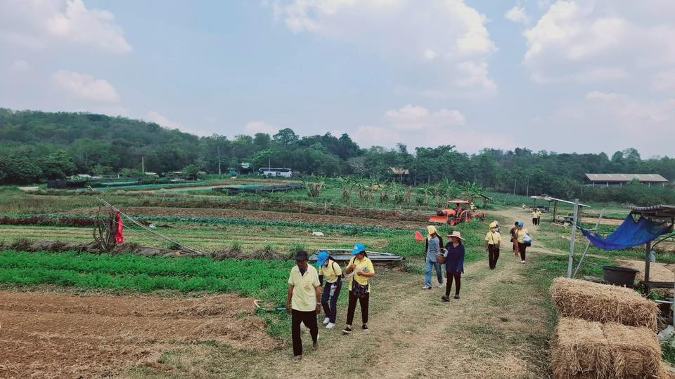 โครงการสร้างอาชีพสร้างรายได้ตามแนวเศรษฐกิจพอเพียง ประจำปีงบประมาณ พ.ศ.2568