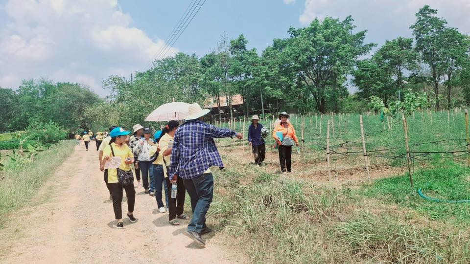 โครงการสร้างอาชีพสร้างรายได้ตามแนวเศรษฐกิจพอเพียง ประจำปีงบประมาณ พ.ศ.2568