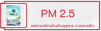 เช็คฝุ่น