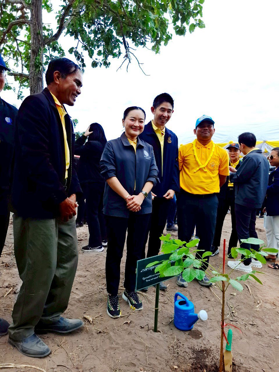 โครงการส่งเสริมการปลูกป่าชุมชนตำบลภูหลวง