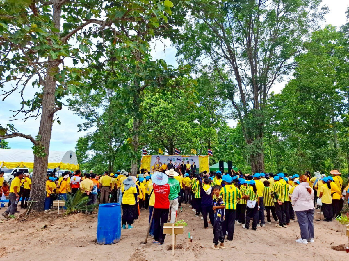 โครงการส่งเสริมการปลูกป่าชุมชนตำบลภูหลวง