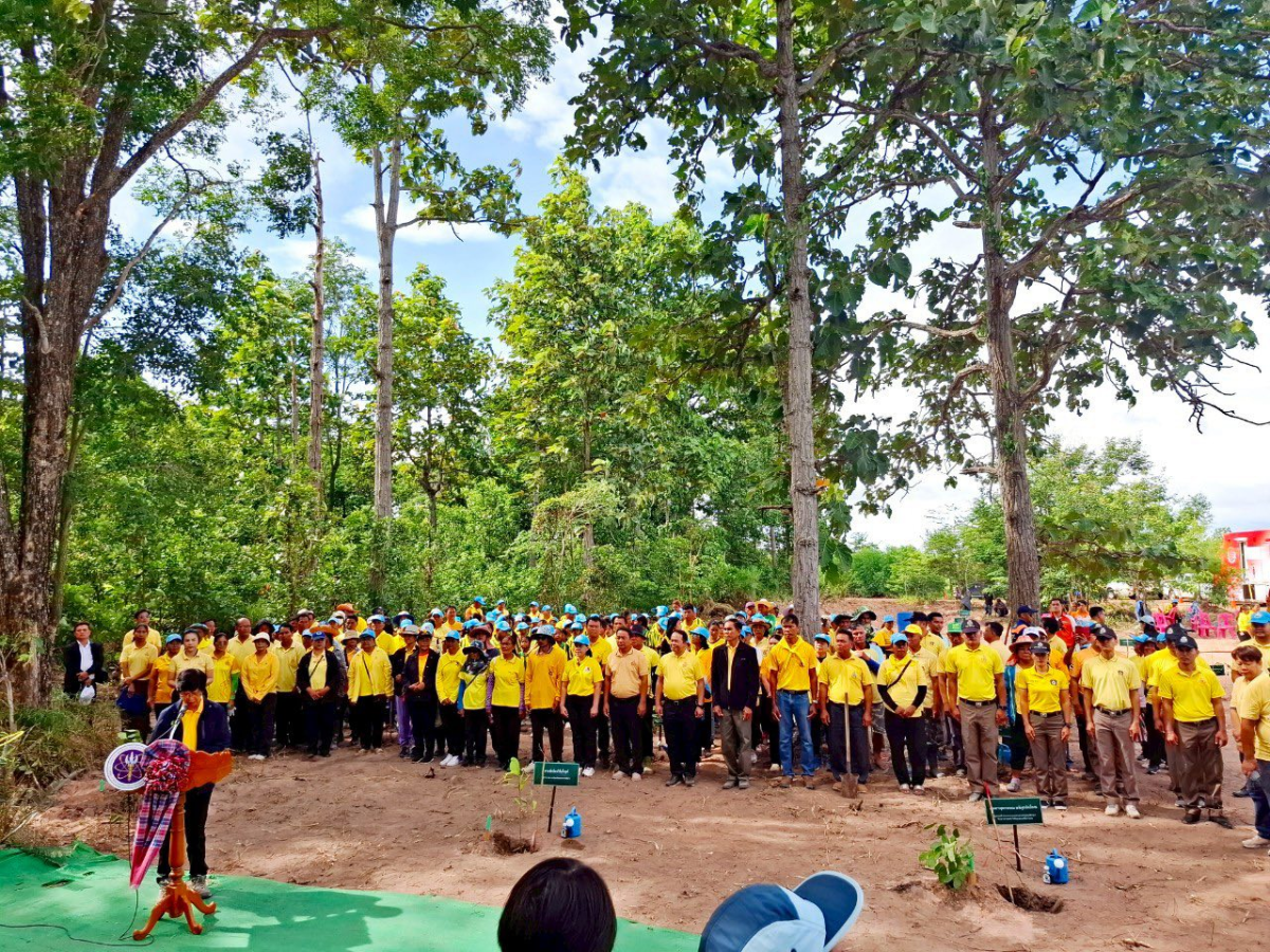 โครงการส่งเสริมการปลูกป่าชุมชนตำบลภูหลวง