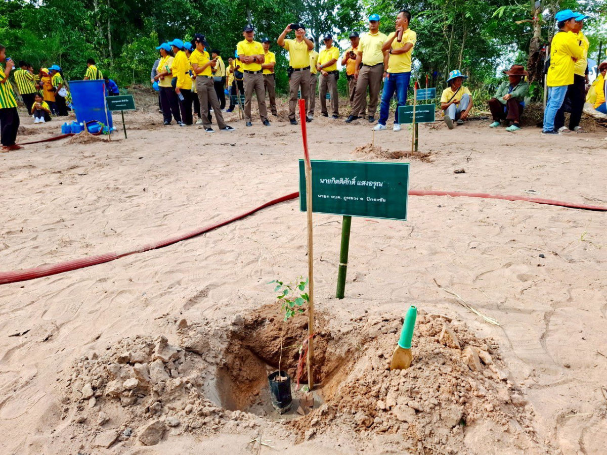 โครงการส่งเสริมการปลูกป่าชุมชนตำบลภูหลวง