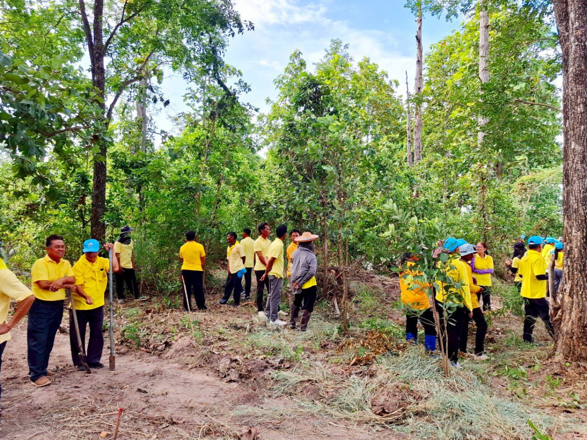 โครงการส่งเสริมการปลูกป่าชุมชนตำบลภูหลวง