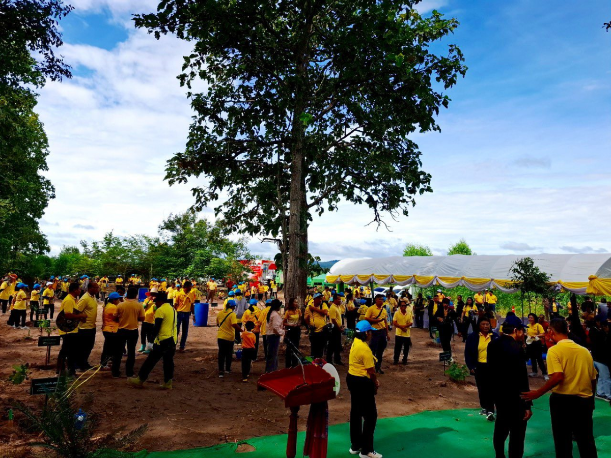 โครงการส่งเสริมการปลูกป่าชุมชนตำบลภูหลวง