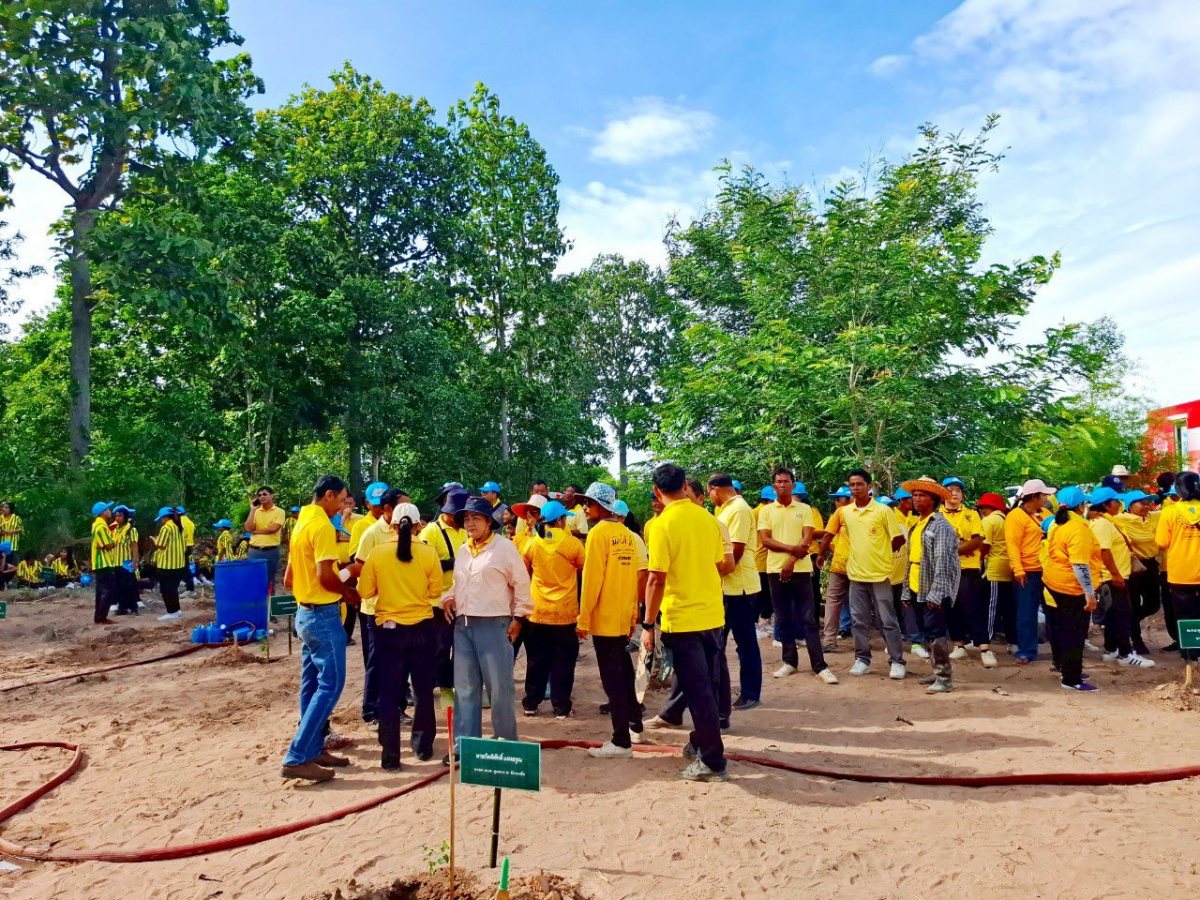 โครงการส่งเสริมการปลูกป่าชุมชนตำบลภูหลวง
