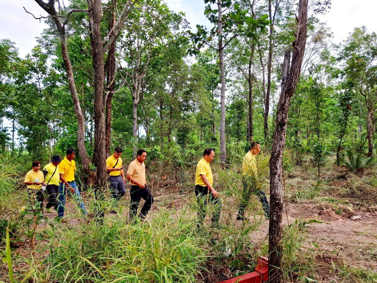 โครงการส่งเสริมการปลูกป่าชุมชนตำบลภูหลวง