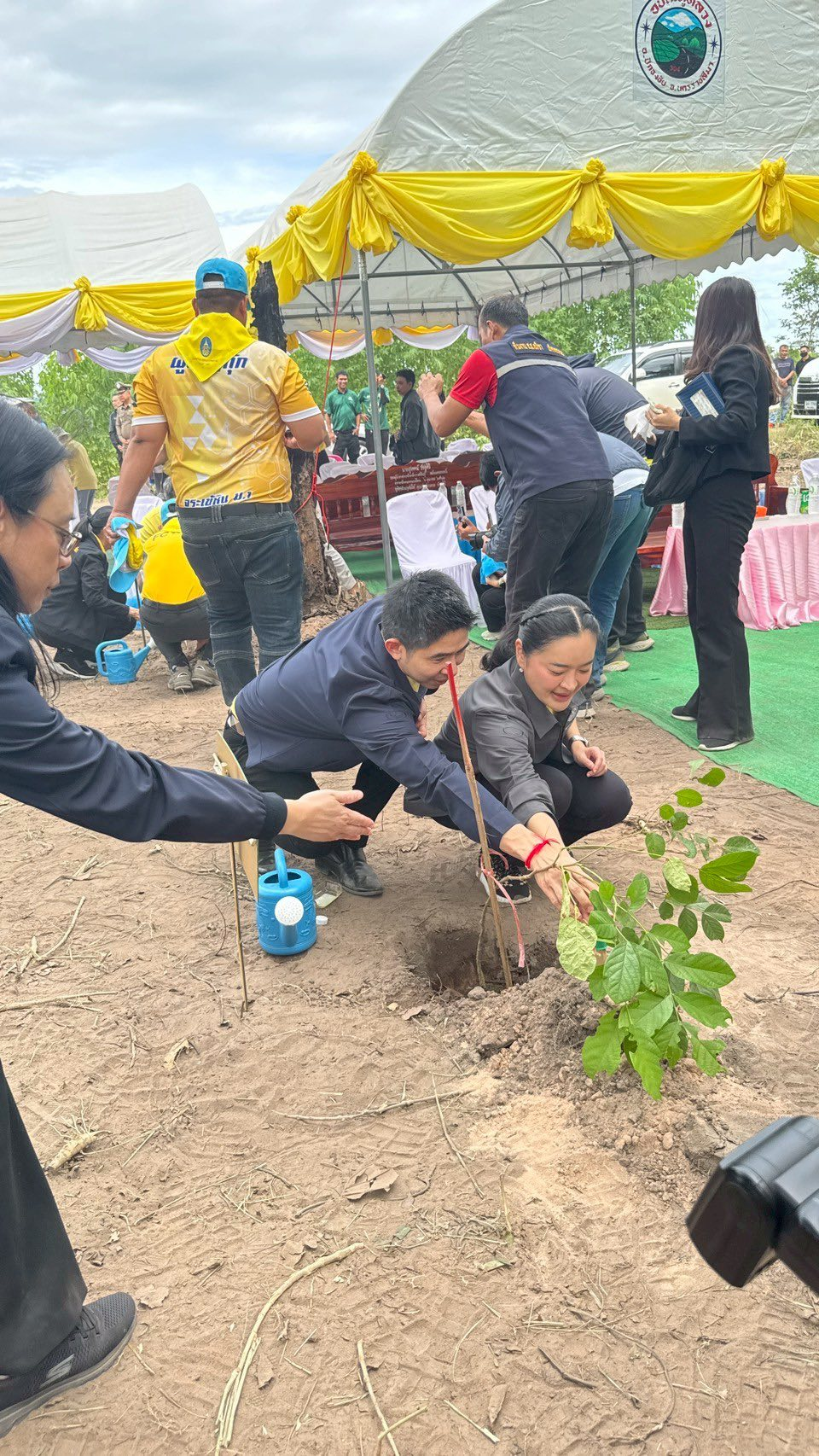 โครงการส่งเสริมการปลูกป่าชุมชนตำบลภูหลวง