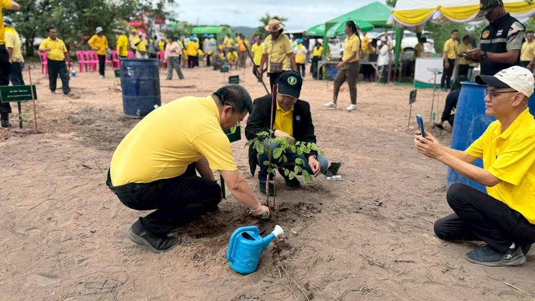 โครงการส่งเสริมการปลูกป่าชุมชนตำบลภูหลวง