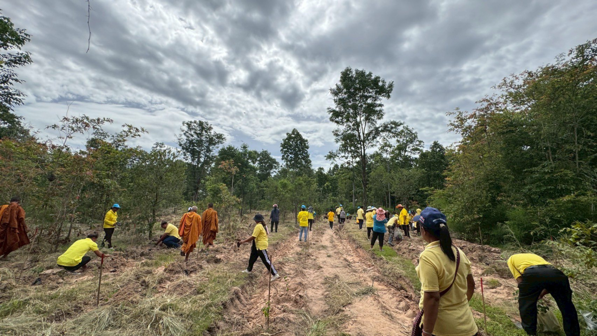 โครงการส่งเสริมการปลูกป่าชุมชนตำบลภูหลวง