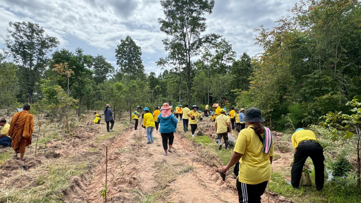 โครงการส่งเสริมการปลูกป่าชุมชนตำบลภูหลวง
