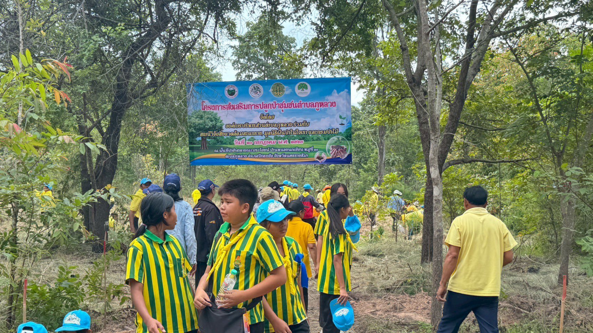 โครงการส่งเสริมการปลูกป่าชุมชนตำบลภูหลวง