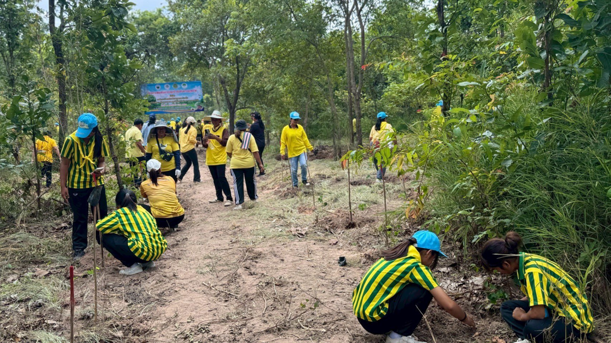 โครงการส่งเสริมการปลูกป่าชุมชนตำบลภูหลวง