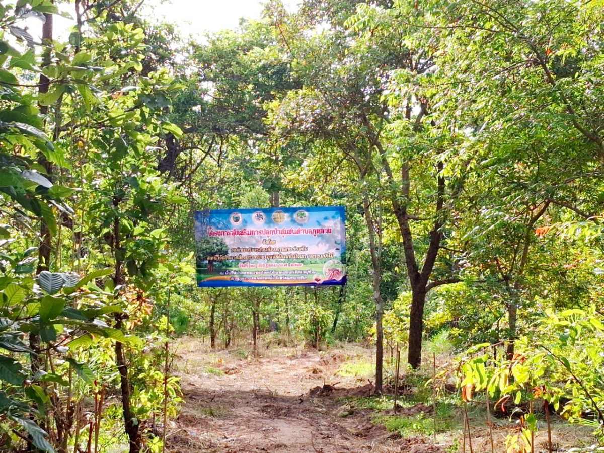 โครงการส่งเสริมการปลูกป่าชุมชนตำบลภูหลวง