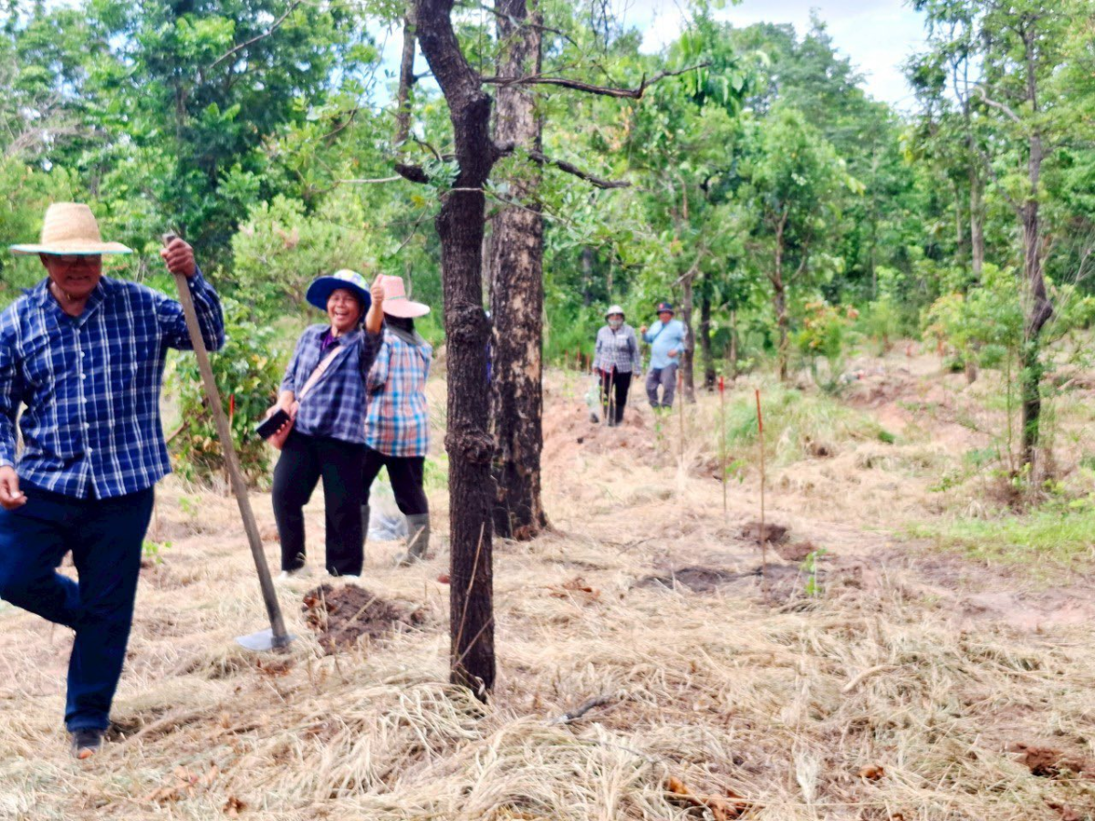 โครงการส่งเสริมการปลูกป่าชุมชนตำบลภูหลวง