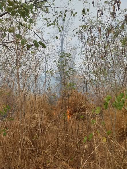 ดำเนินการระงับเหตุเพลิงไหม้ป่าบริเวณหลังหมู่บ้านหลุมเงิน หมู่ที่ ๕ 