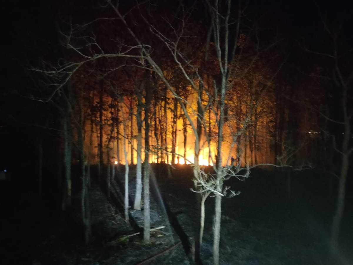 ระงับเหตุเพลิงไหม้ป่า