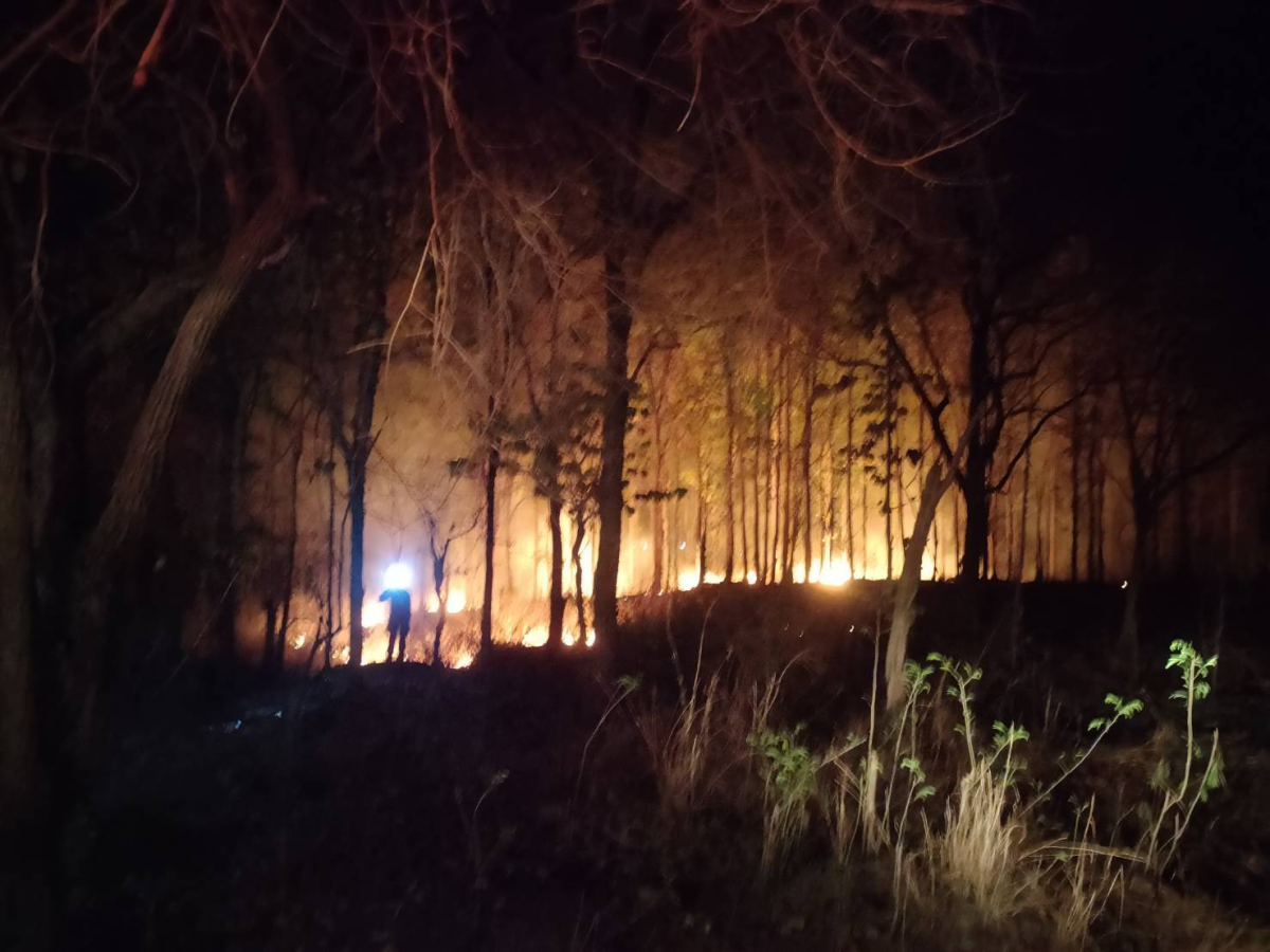 ระงับเหตุเพลิงไหม้ป่า