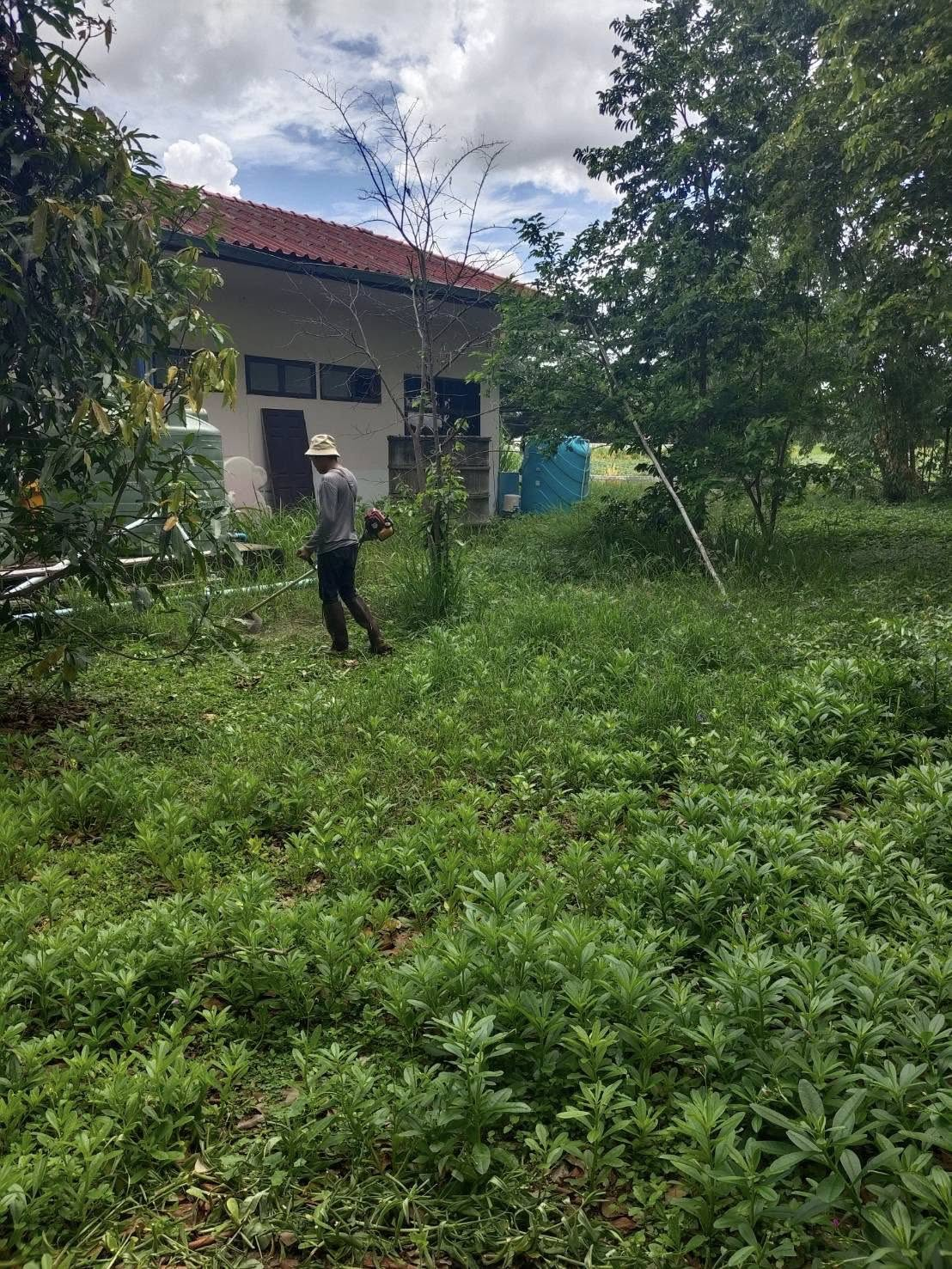 ทำความสะอาดบริเวณสถานที่รอบศูนย์พัฒนาเด็กเล็กโรงเรียนบ้านหนองกกเพื่อเตรียมความพร้อมต้อนรับการเปิดภาคเรียน ปีการศึกษา ๒๕๖๙